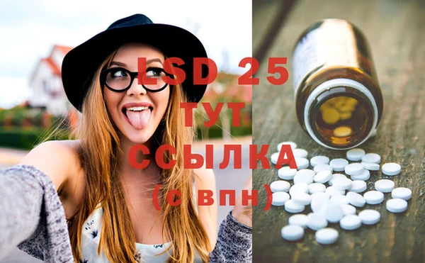 молекула духа Краснослободск
