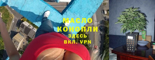 молекула духа Краснослободск