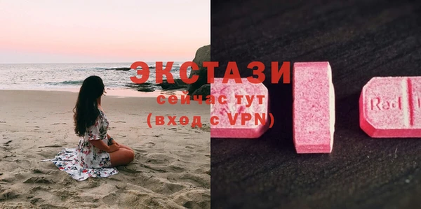 молекула духа Краснослободск