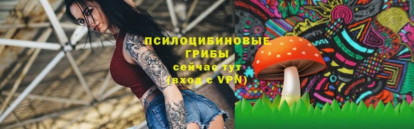 молекула духа Краснослободск